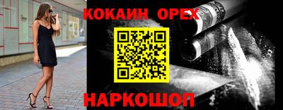 шишки Тверь