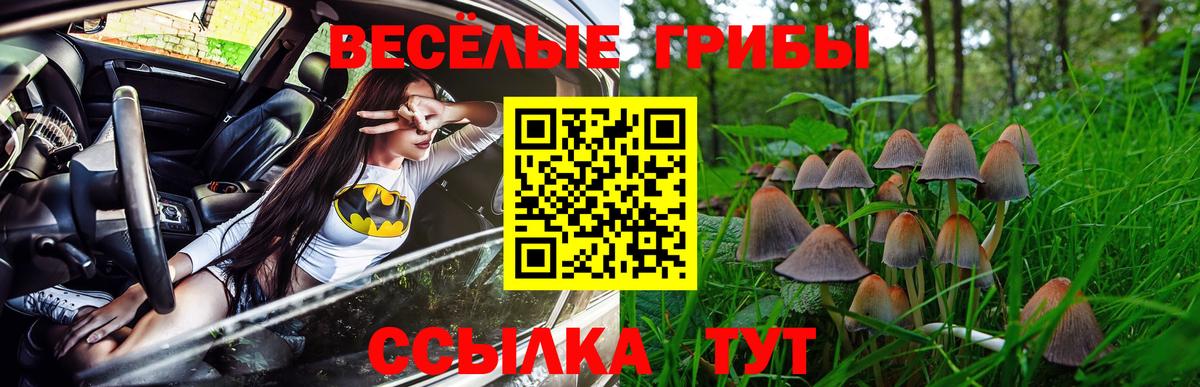 Псилоцибиновые грибы GOLDEN TEACHER  Вход с VPN  Новотроицк 